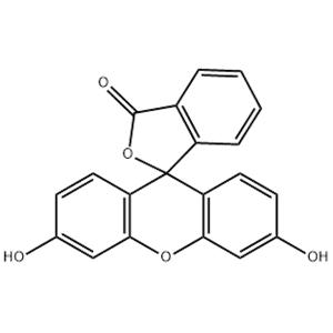 Fluorescein