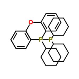 (Oxydi-2,1-phenylene)bis(dicyclohexylphosphine)