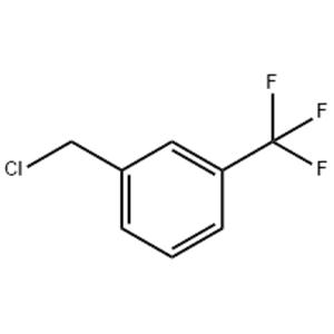 3-Chloromethyl-benzotrifluoride