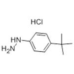 4-TERT-BUTYLPHENYLHYDRAZINE HYDROCHLORIDE