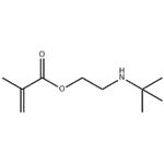 2-(TERT-BUTYLAMINO)ETHYL METHACRYLATE