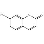 7-Hydroxycoumarin