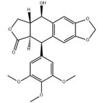 Podophyllotoxin