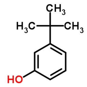 3-tert-Butylphenol