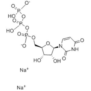 URIDINE-13C9, 15N2-5 TRIPHOSPHATE SODI U