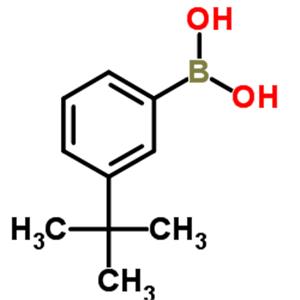 3-tert-Butylphenylboronic acid