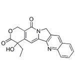 7689-03-4 (+)-Camptothecin