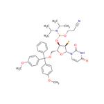 5'-O-DMT-2'-F-Deoxyuridine-CE Phosphoramidit