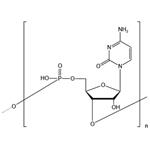 Polycytidylic acid sodium salt (PC)