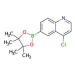 4-Chloroquinoline-6-boronic acid pinacol ester