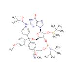 DMT-2'O-TBDMS-rG(ib) Phosphoramidite