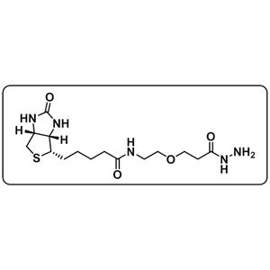 Biotin-PEG1-hydrazide