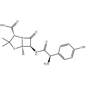 Amoxicillin