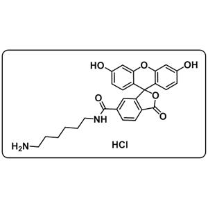 FAM amine,6-isomer