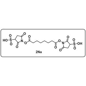 BS3 Cross linker(diso dium)