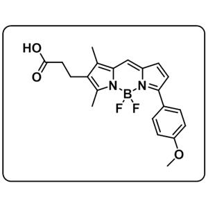 BDP TMR carboxylic acid