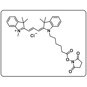 Cyanine3 NHS ester