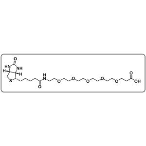 Biotin-PEG5-COOH