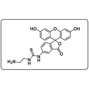 5-FITC-C2-amine