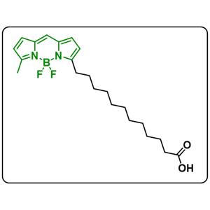 BODIPY 500/510 C1, C12