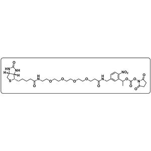 PC-Biotin-PEG4-NHS carbonate