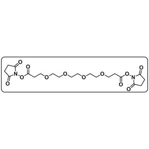 Bis-PEG4-NHS ester