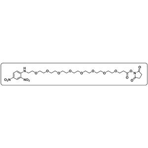 DNP-PEG8-NHS ester