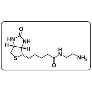 Biotin-EA