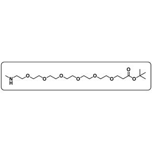 MeNH-PEG6-COOtBu