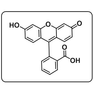 Fluorescin