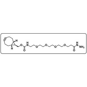 exo BCN-PEG4-hydrazide