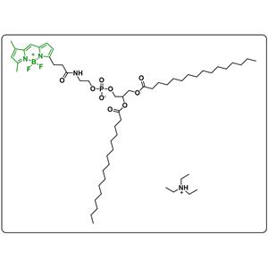 BODIPY FL-DHPE