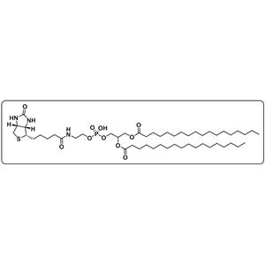 DSPE-Biotin