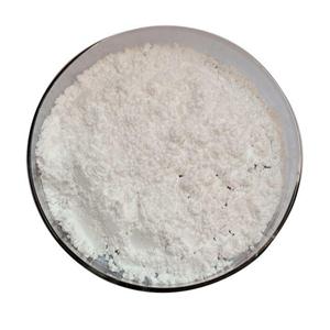 (HYDROXYPROPYL)METHYL CELLULOSE