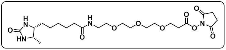 Desthiobiotin-PEG3-NHS ester