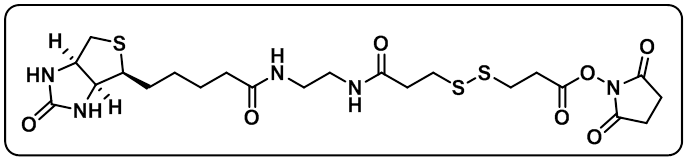 Biotin-bisamido-SS-NHS ester