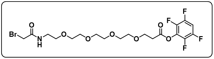 BrCH2CONH-PEG4-TFP ester