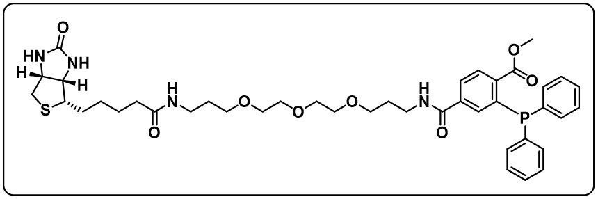 Phosphine-biotin