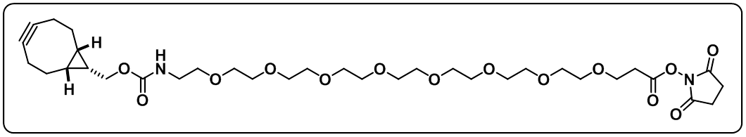 endo BCN-PEG8-NHS ester