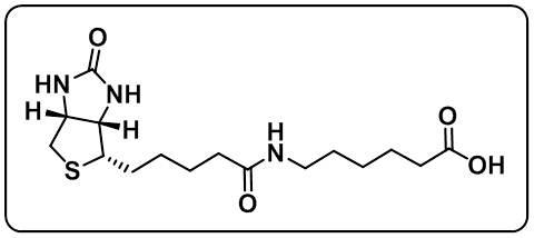 Biotin-LC