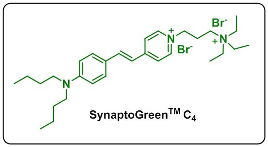 NeurotransGreen C