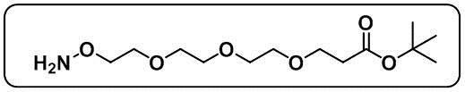 Aminooxy-PEG3-t-butyl ester