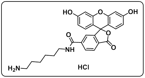 FAM amine,6-isomer