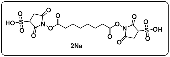 BS3 Cross linker(diso dium)