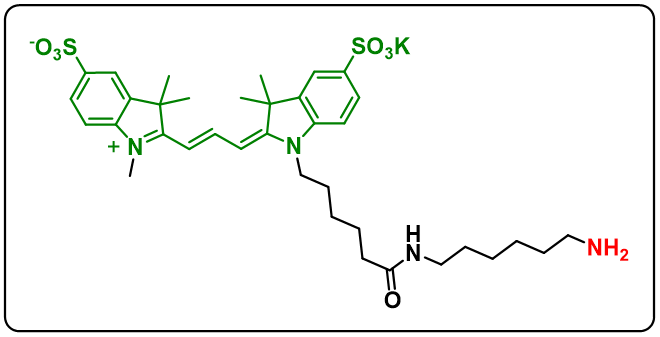 diSulfo-Cy3 amine