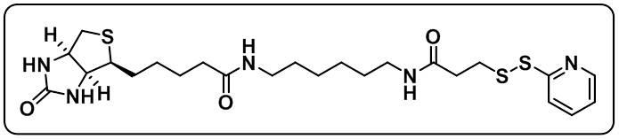 Biotin-HPDP