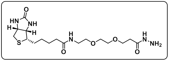 Biotin-PEG2-hydrazide