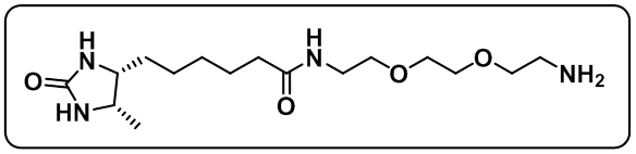 Desthiobiotin-PEG2-Amine