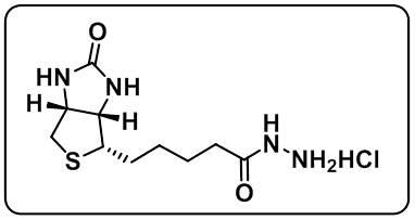 Biotin hydrazide HCl