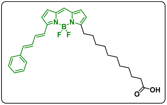 BODIPY 581/591 C11